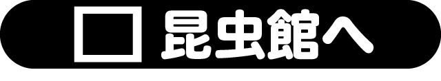 昆虫館へ